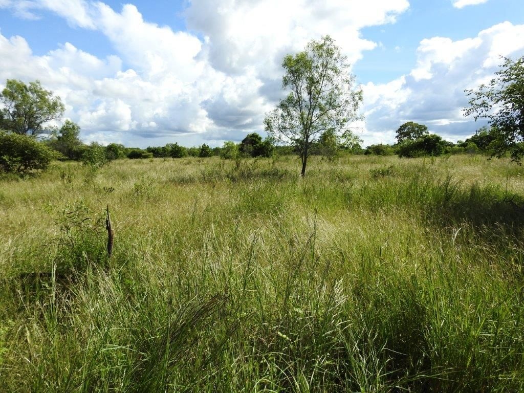 Lot 1, Read Road Toll