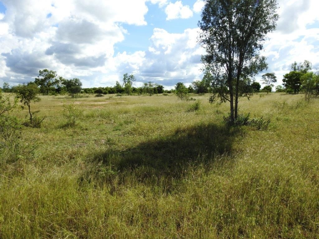 Lot 1, Read Road Toll
