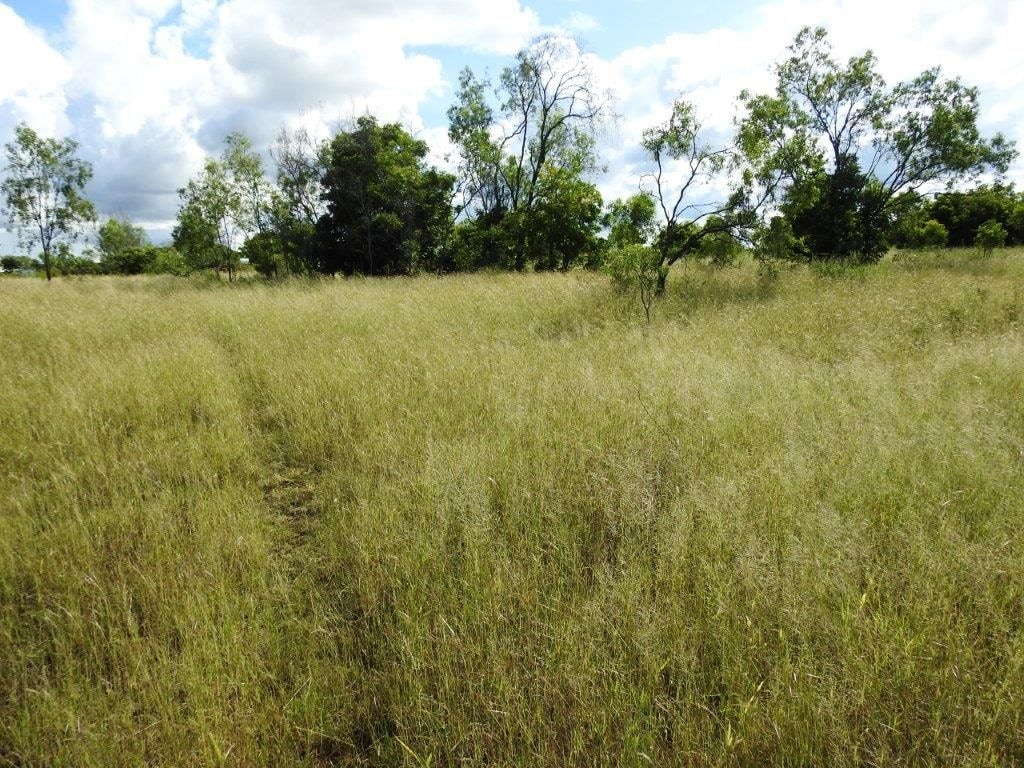 Lot 1, Read Road Toll