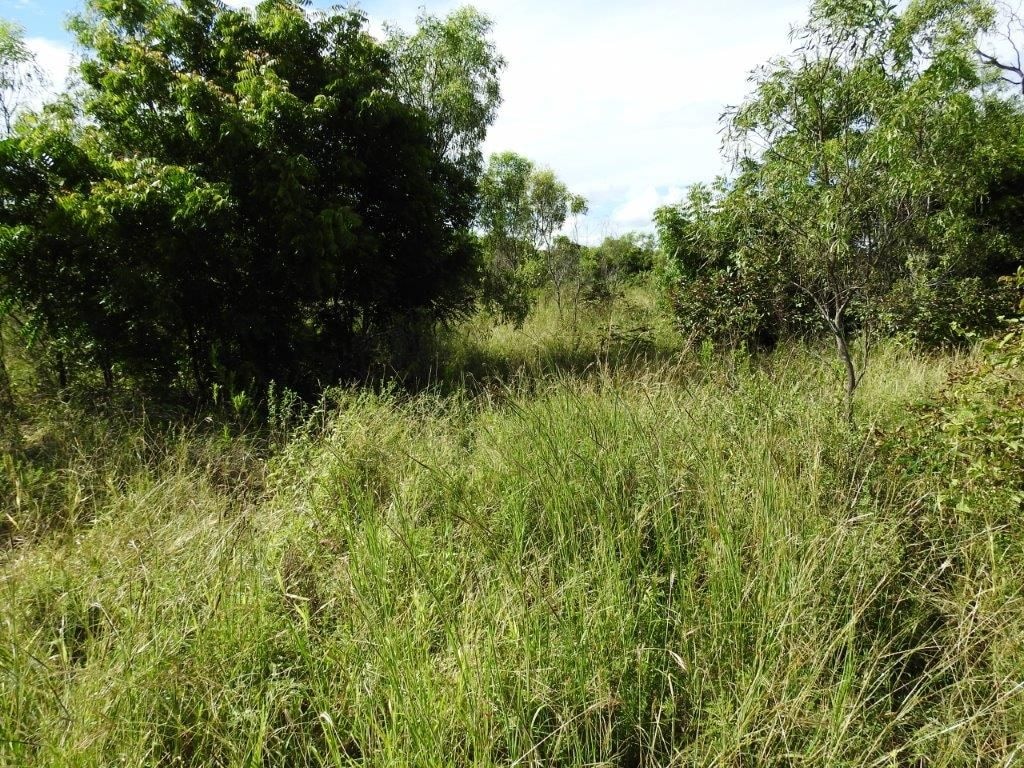 Lot 1, Read Road Toll