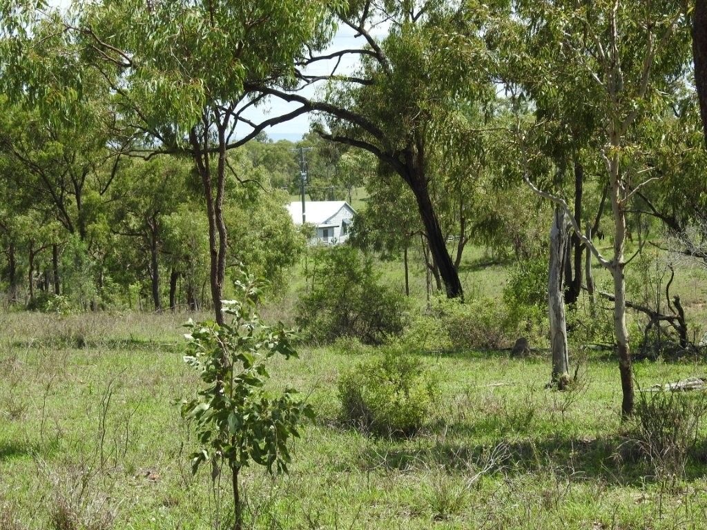 Flinders Highway, Breddan