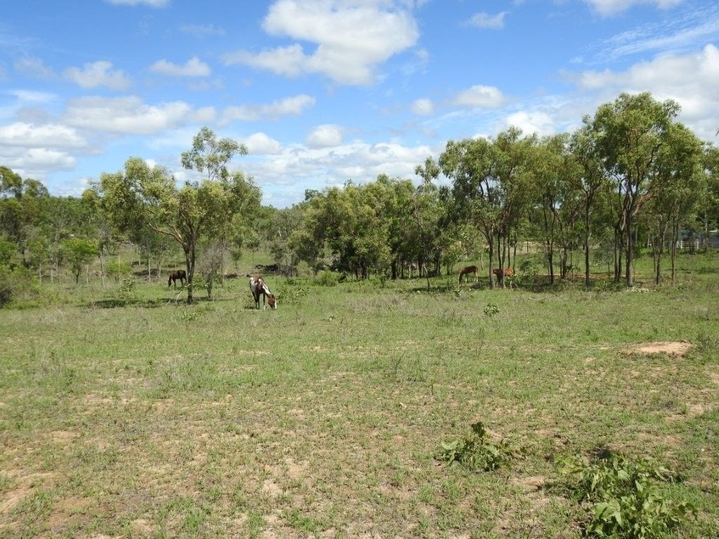 Flinders Highway, Breddan