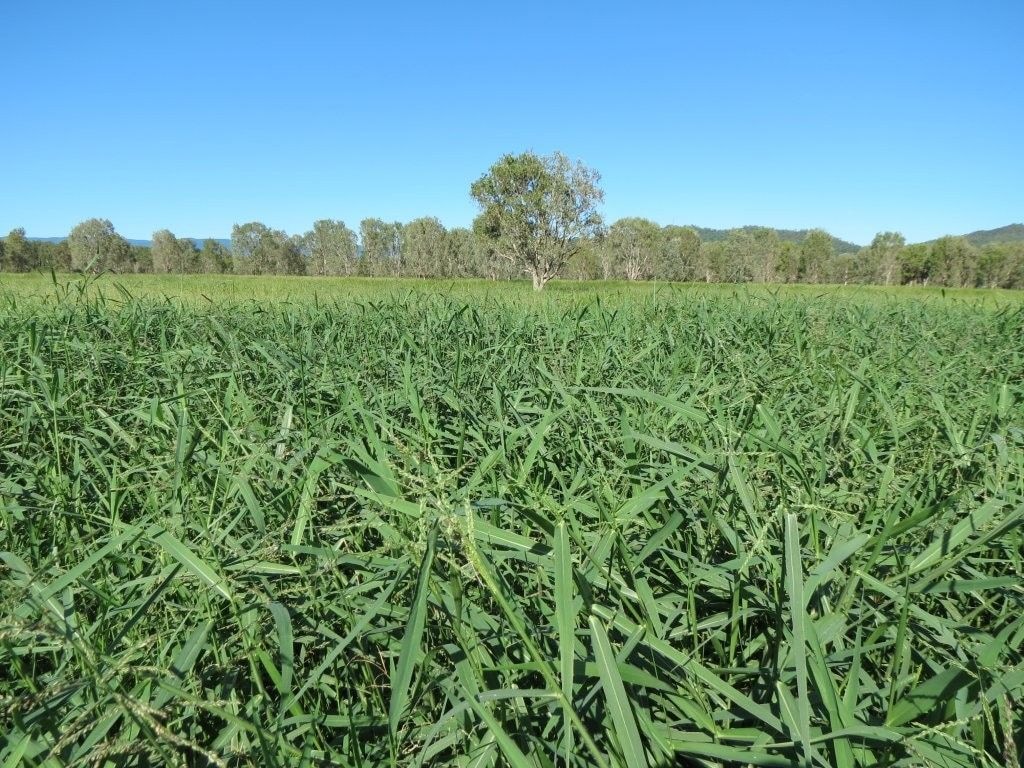 Riverlands Grazing, via Ingham