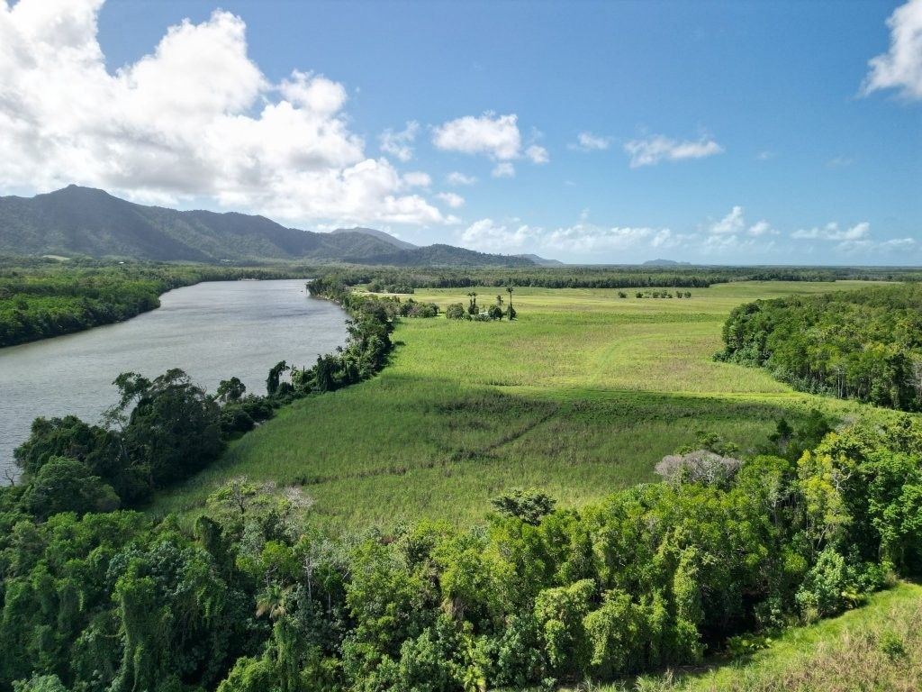 Lower Daintree Aggregation, via Mossman Nth Qld