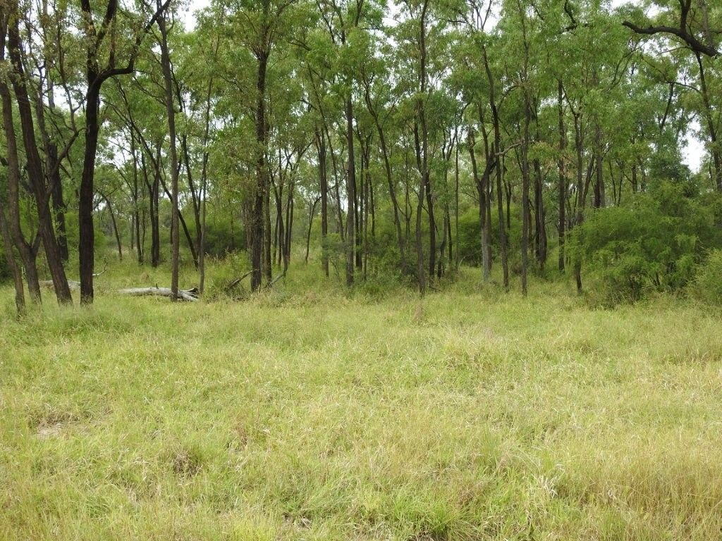 Cape River, Pentland