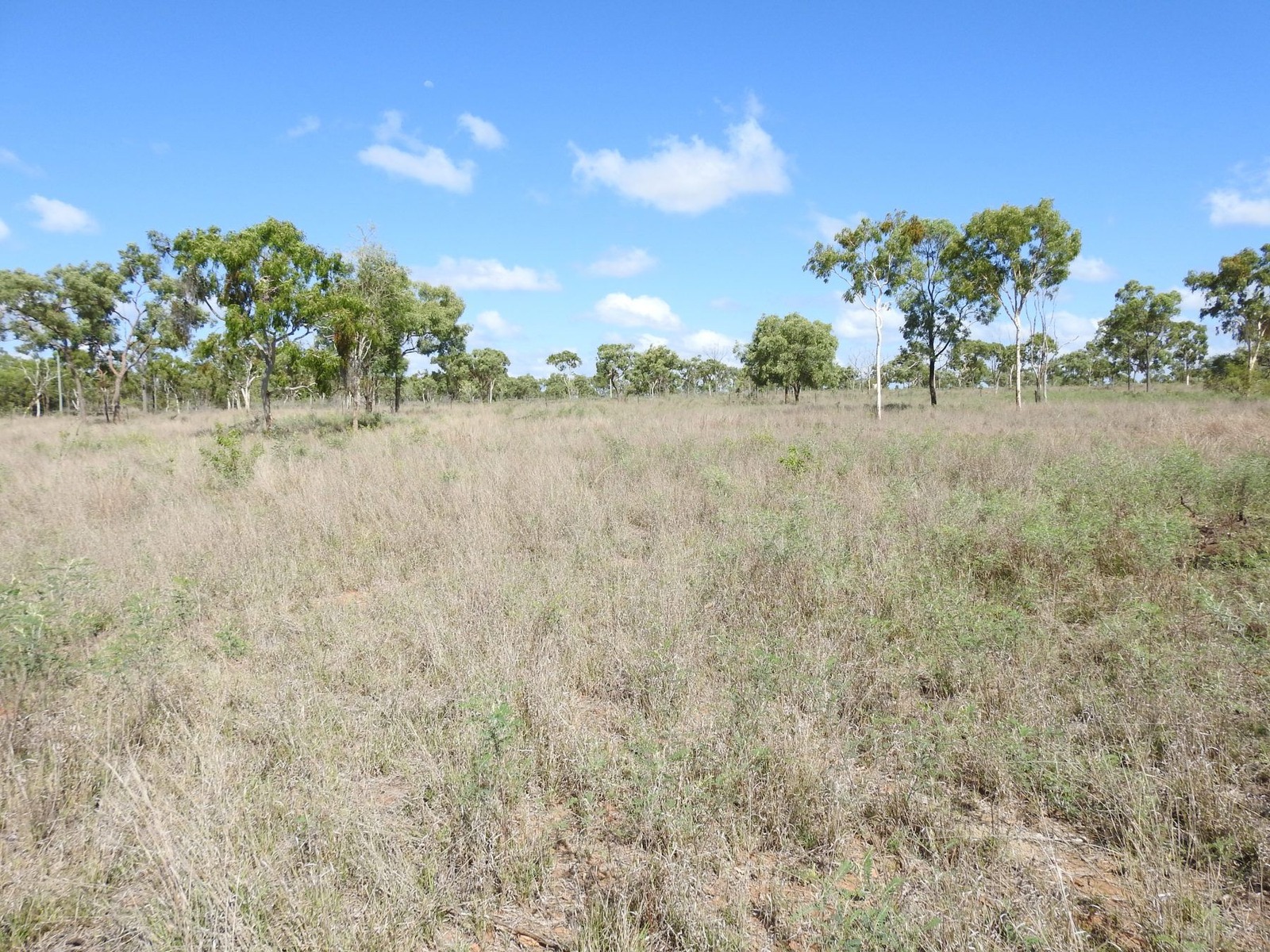 27 Beechcraft Court, Breddan