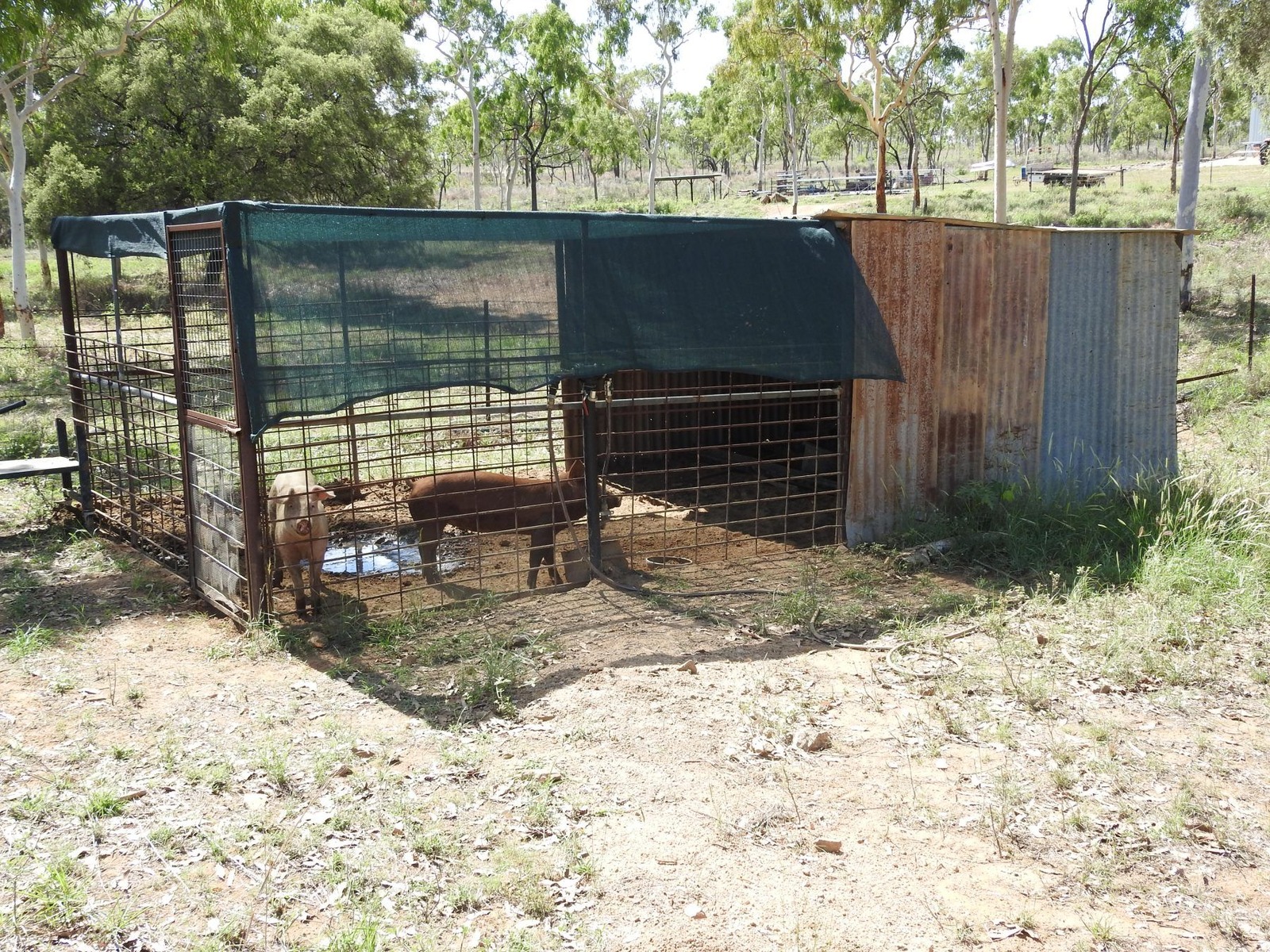27 Beechcraft Court, Breddan
