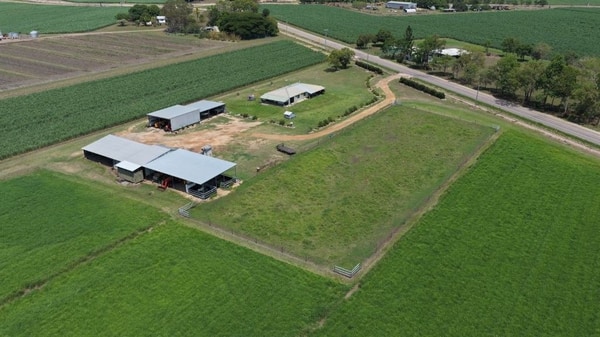 Haughton Hay Farm, Giru