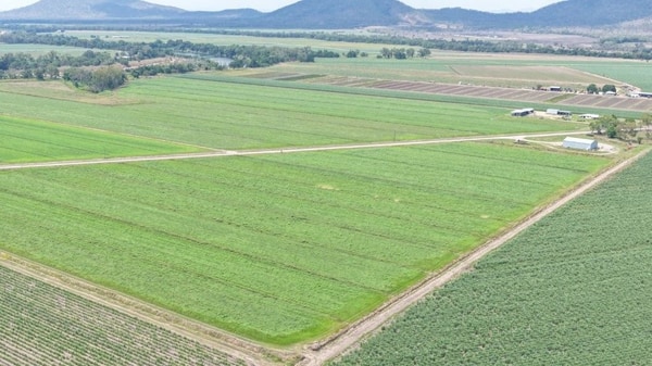 Haughton Hay Farm, Giru
