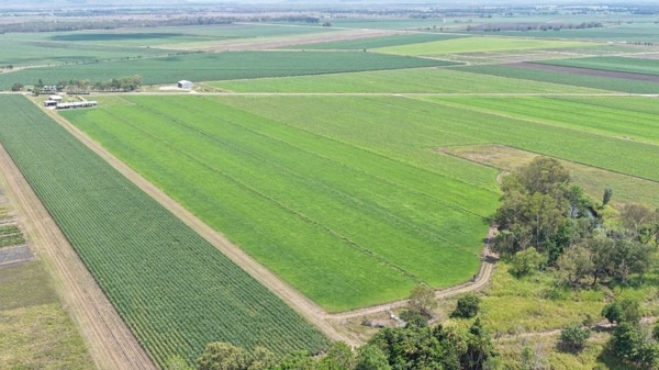 Haughton Hay Farm, Giru