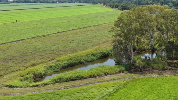 Haughton Hay Farm, Giru