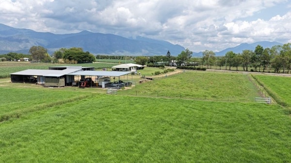 Haughton Hay Farm, Giru