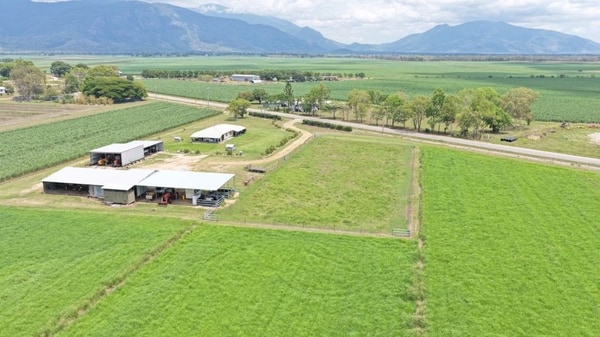 Haughton Hay Farm, Giru