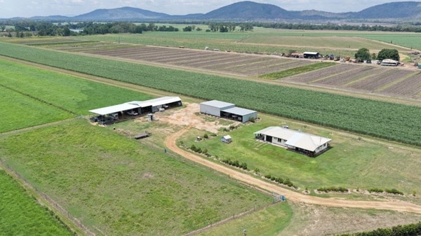 Haughton Hay Farm, Giru