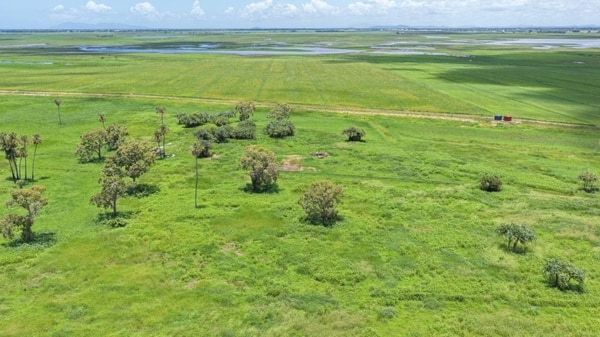 Becker Road Hay & Cattle, 162 Becker Road, Brandon