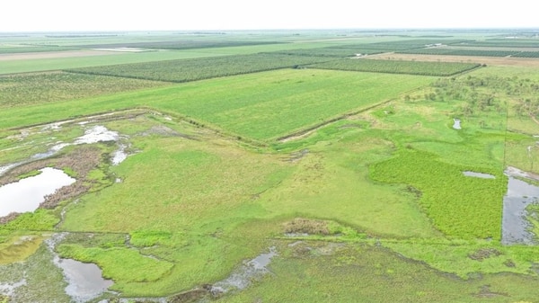 Farming property, Giru