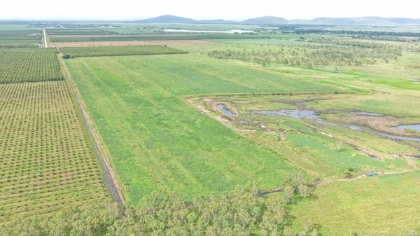 Farming property, Giru