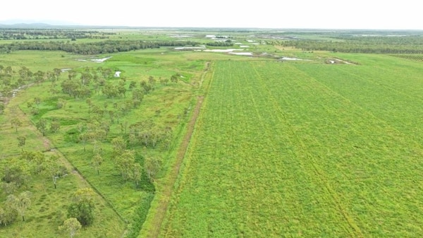 Farming property, Giru