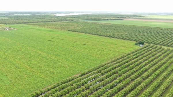 Farming property, Giru