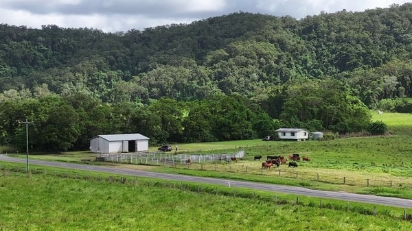 Lower Daintree Aggregation, via Mossman Nth Qld