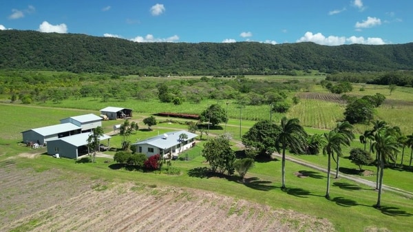 Lower Daintree Aggregation, via Mossman Nth Qld