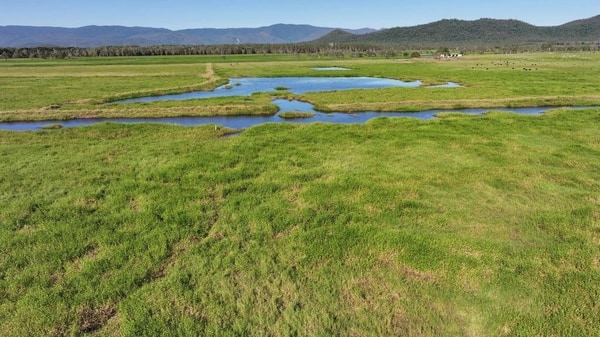 Riverlands Grazing, via Ingham