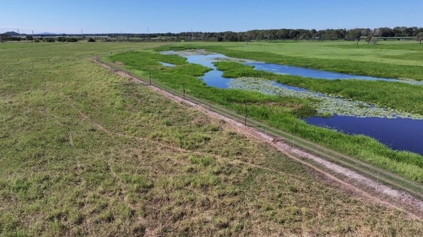 Riverlands Grazing, via Ingham