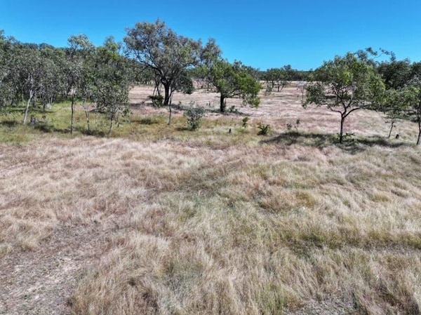 Vanlee Station, Mount Surprise
