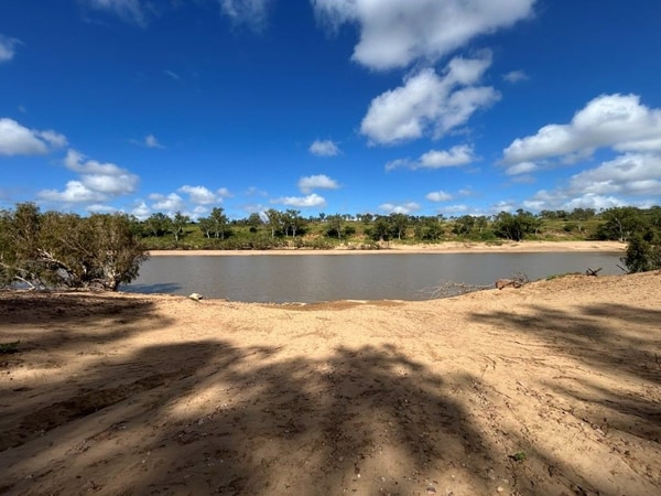 Lancewood, Basalt