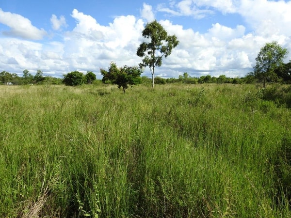 Lot 1, Read Road Toll