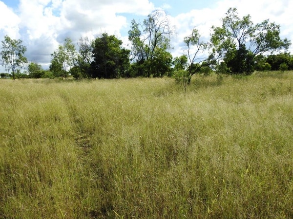 Lot 1, Read Road Toll