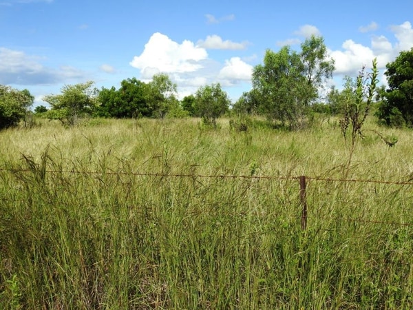 Lot 1, Read Road Toll