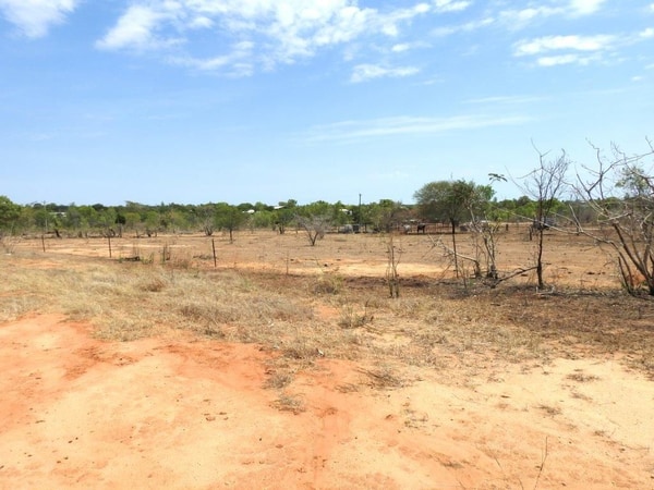 56 Bluff Road, Charters Towers