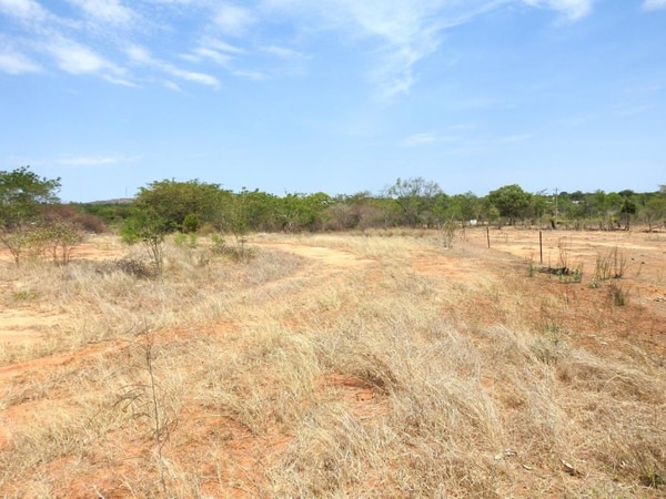 56 Bluff Road, Charters Towers