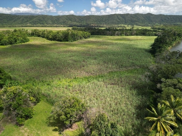 Lower Daintree Aggregation, via Mossman Nth Qld