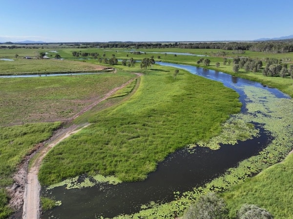 Riverlands Grazing, via Ingham