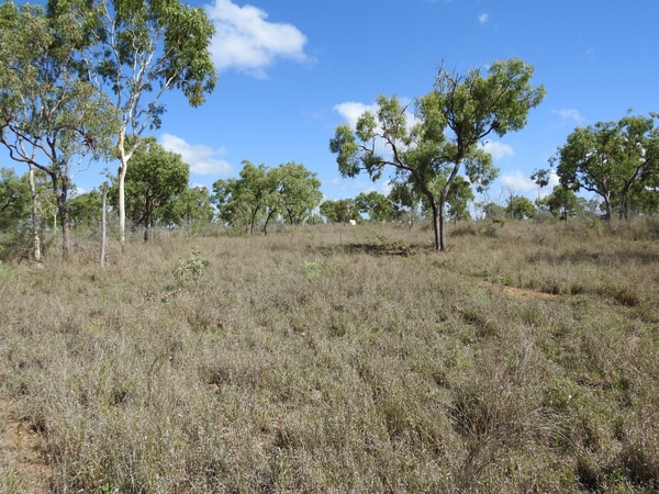 27 Beechcraft Court, Breddan