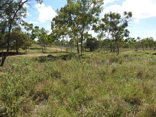 27 Beechcraft Court, Breddan