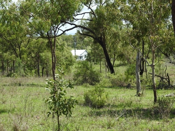 Flinders Highway, Breddan