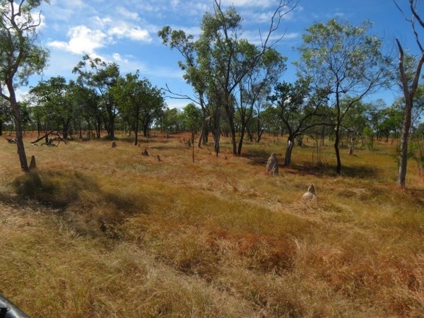 Vanlee Station, Mount Surprise