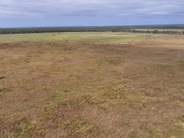 Cape River, Pentland