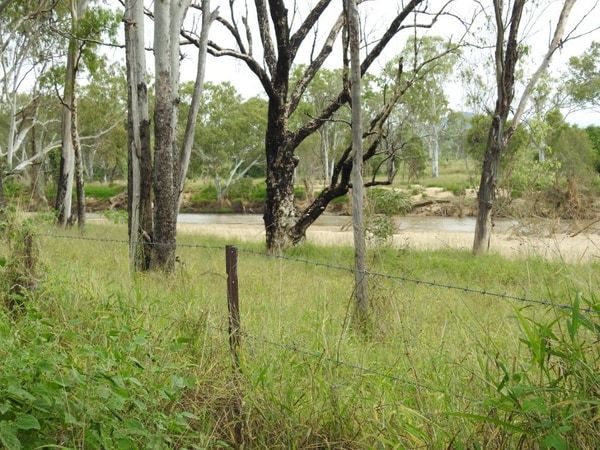 Cape River, Pentland