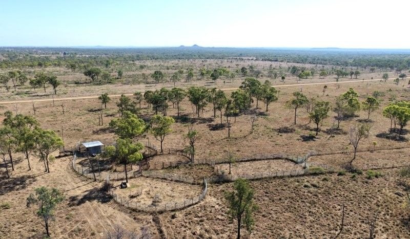 Bumbleginny, Charters Towers