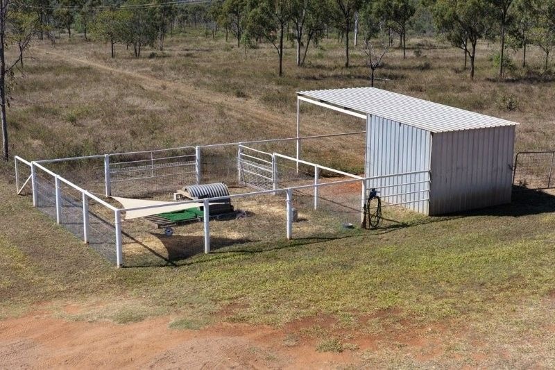 Bumbleginny, Charters Towers