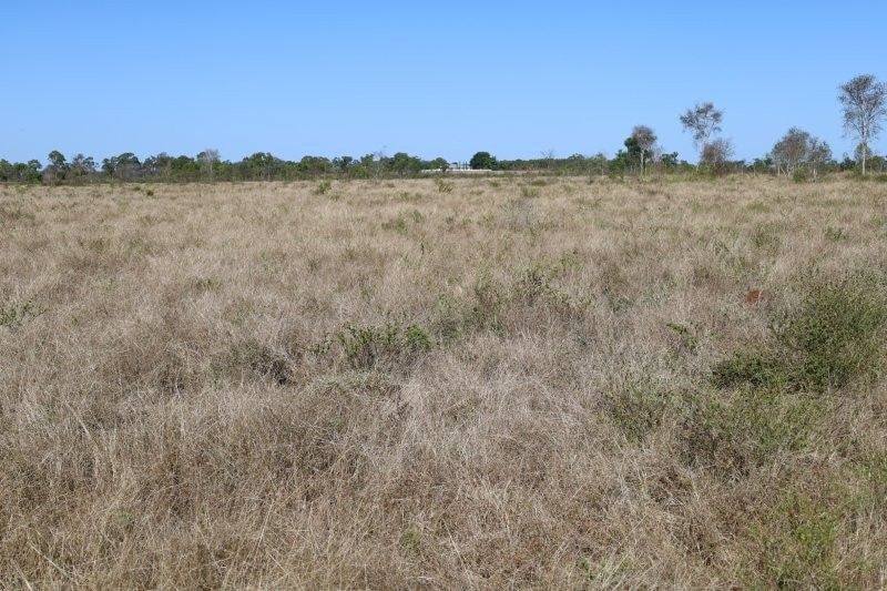 Bumbleginny, Charters Towers