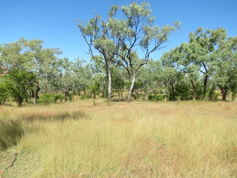 Vanlee Station, Mount Surprise