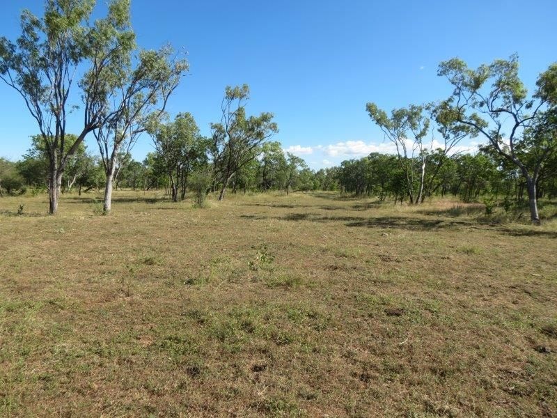 Vanlee Station, Mount Surprise