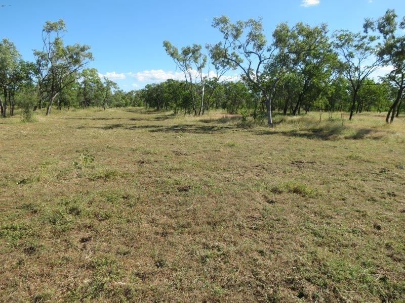 Vanlee Station, Mount Surprise